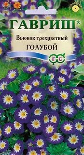 Вьюнок трехцветный семена