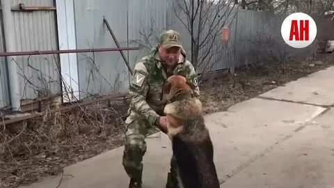Сириец наезжает на ветерана чечни