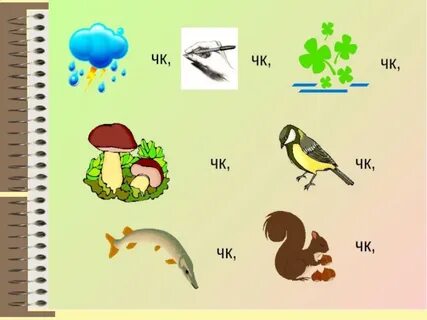 Карточка 2 класс русский язык чк чн
