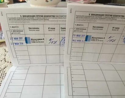 Сколько действует прививка от бешенства