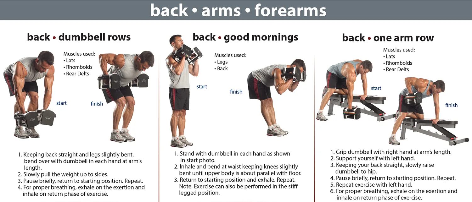 Harder back. Back exercises with dumbbells. back workout with dumbbells. dumbbell back workout. one hand dumbbell row  упражнение.