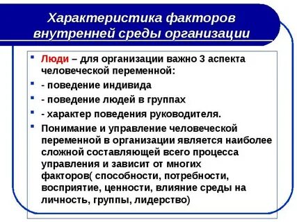 Описание факторов внешней среды организации