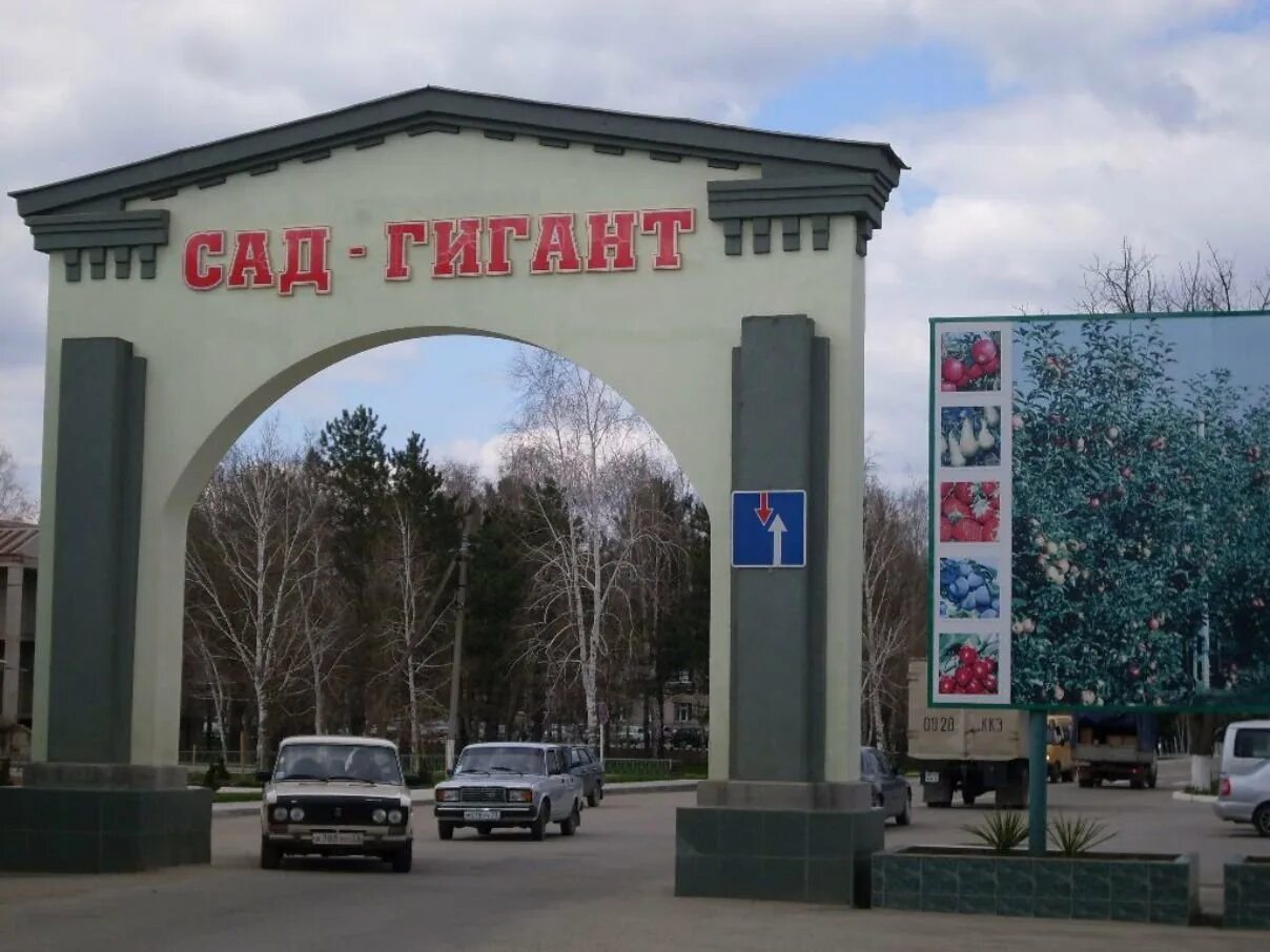 Сад гигант. Сад гигант славянск на кубани. арка сад гигант славянск на кубани. сад гигант краснодарский край славянский на кубани. агрофирма сад гигант славянск на кубани.