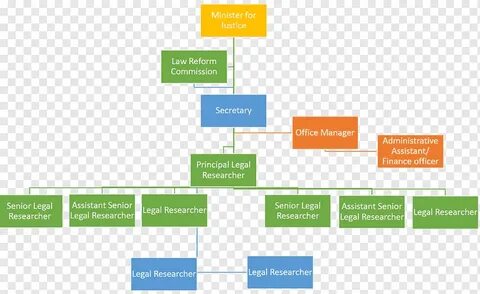 Text organization