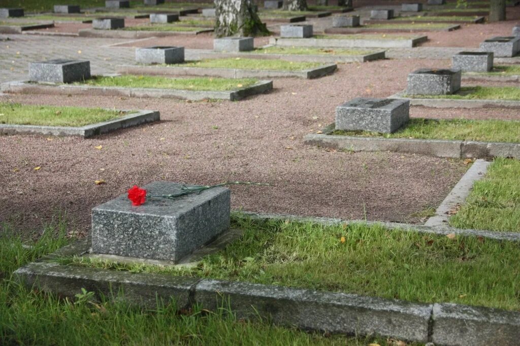 Пискаревское кладбище блокада Ленинграда. Мемориал на Пискаревском кладбище. Пискарёвское кладбище в Ленинграде. Пискаревское кладбище Братские могилы.