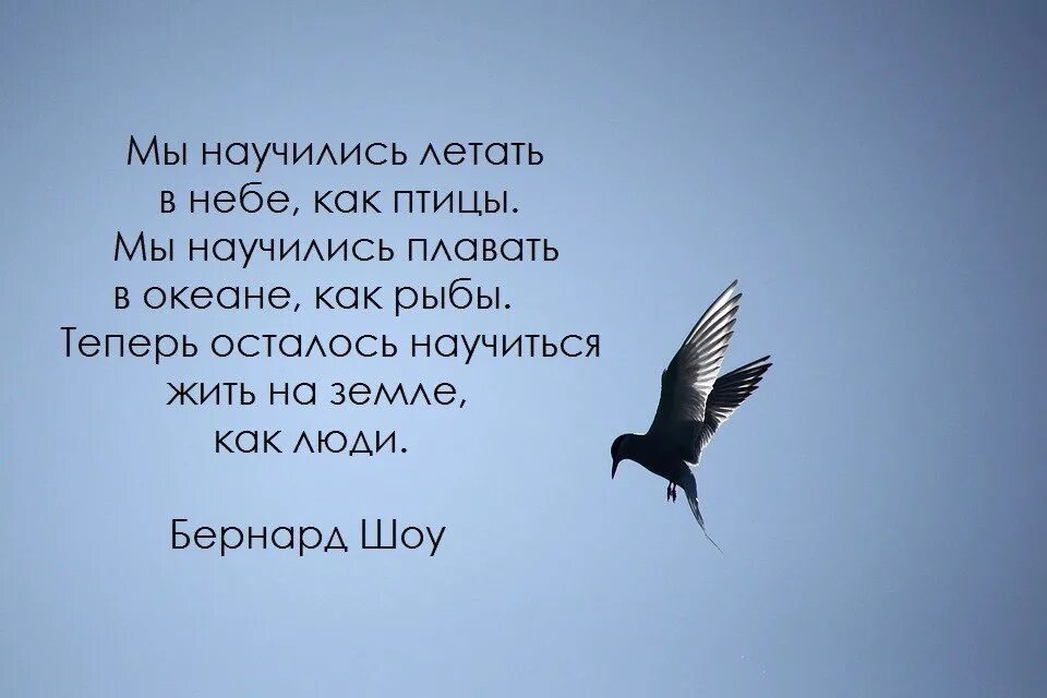 научись летать один. найдется и кто то научит летать. найдется и кто то научит летать. чтобы научиться летать надо отпустить все. найдется и кто то научит летать.