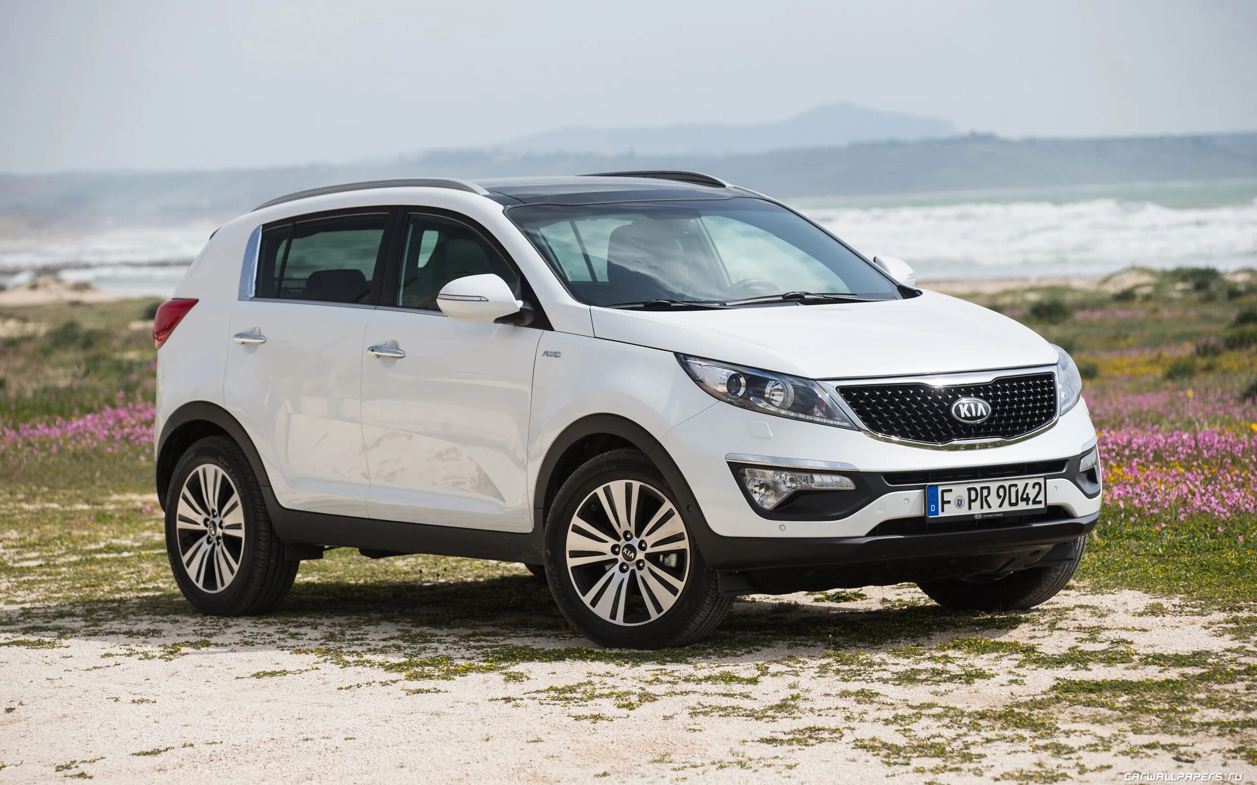 Кия спорь. Kia Sportage 2015. Киа Спортейдж 2014. Киа Спортейдж 2015. Киа Спортаж Киа Спортаж.