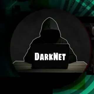 Darknet скачать гирда не работает флеш плеер в браузере тор mega2web