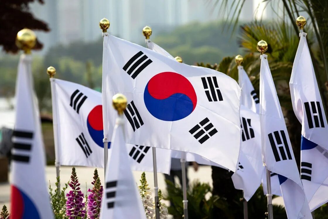 Организация стран азии. Южная Корея. Население Республики Корея. Культура Южной Кореи. Флаг Южной Кореи и других стран.