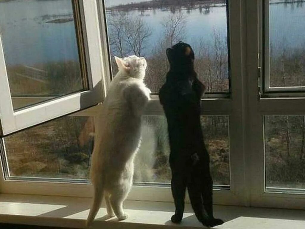 Когда уже потеплеет