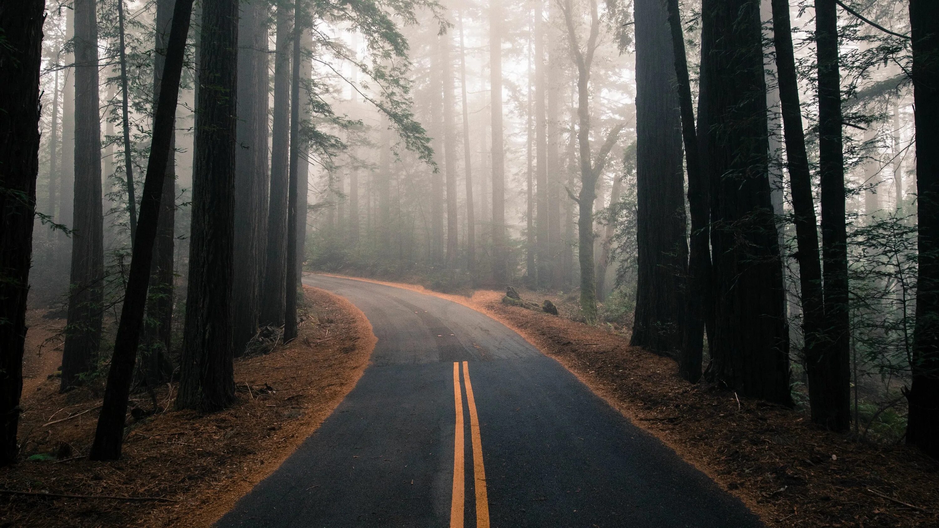 Find you road