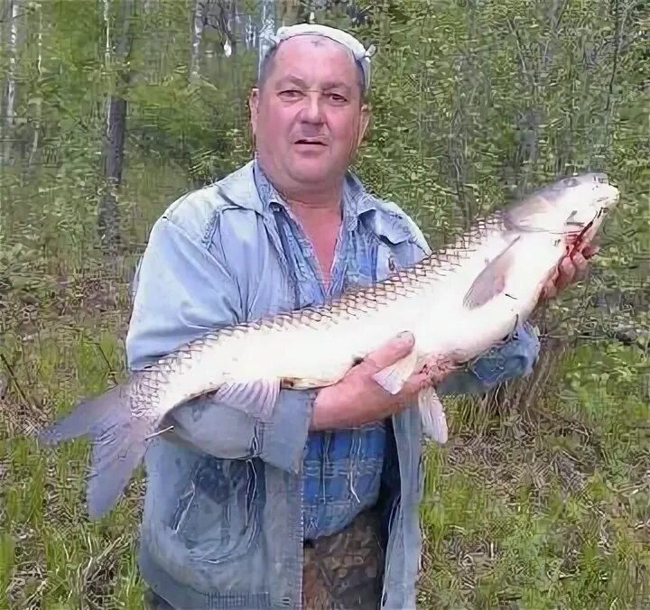 Погода в морсово. Морсово Земетчинский район. Морсово Пензенская область Земетчинский район.