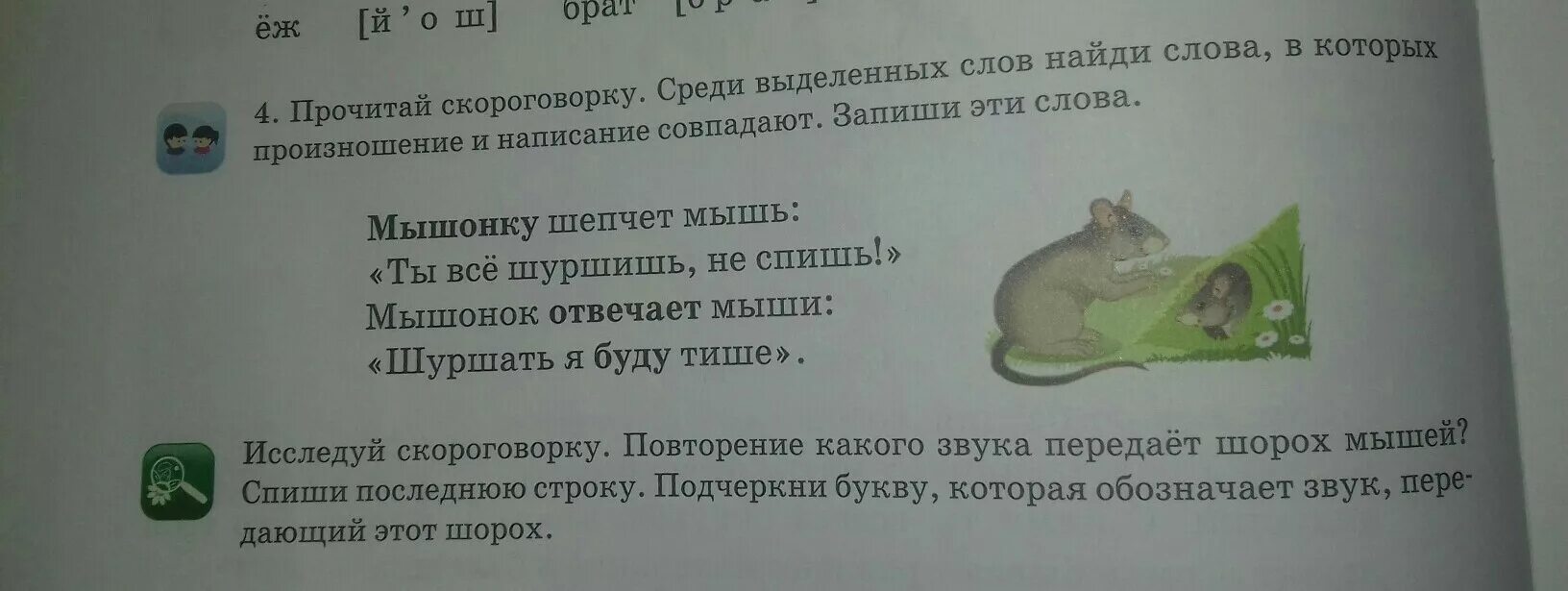 Предложение слово мышь. Предложение со словом мышь. Предложение со словом мышка. Предложение со словом мыши 1 класс. Короткое предложения с словом мышь.