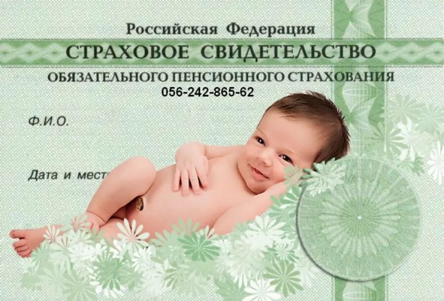 Как оформить снилс на новорожденного. Снилс ребенка. снилс новорожденным. снилс для новорождённых. свидетельство для новорожденных.