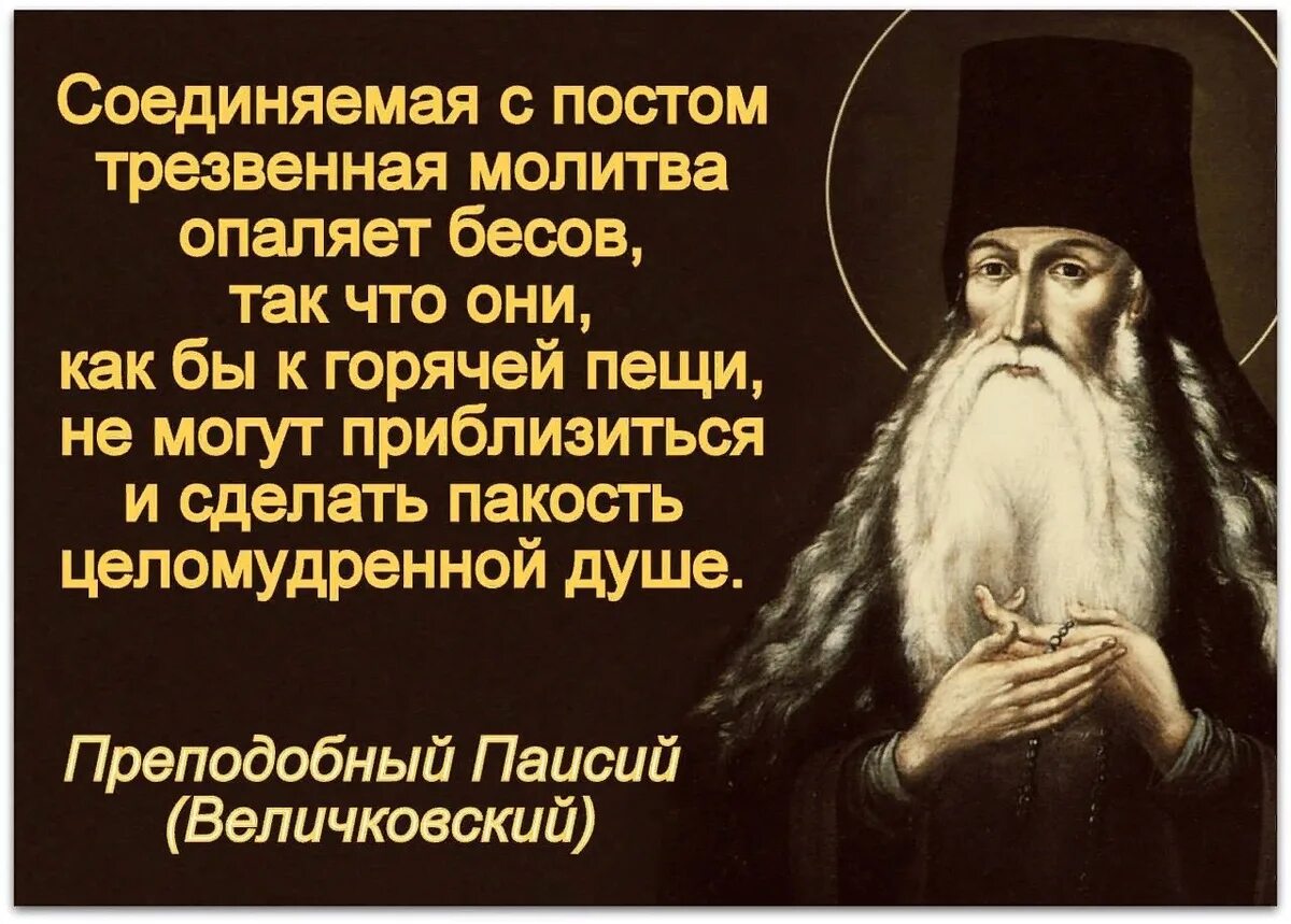 День памяти преподобного Паисия Величковского 28 ноября. 28 Ноября. Прп. Паисия Величковского ( 1794 ).. Паисий Величковский икона. Святой Преподобный Паисий Святогорец. Паисий святогорец акафист