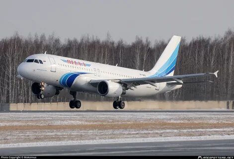 Авиакомпания ямал морошка