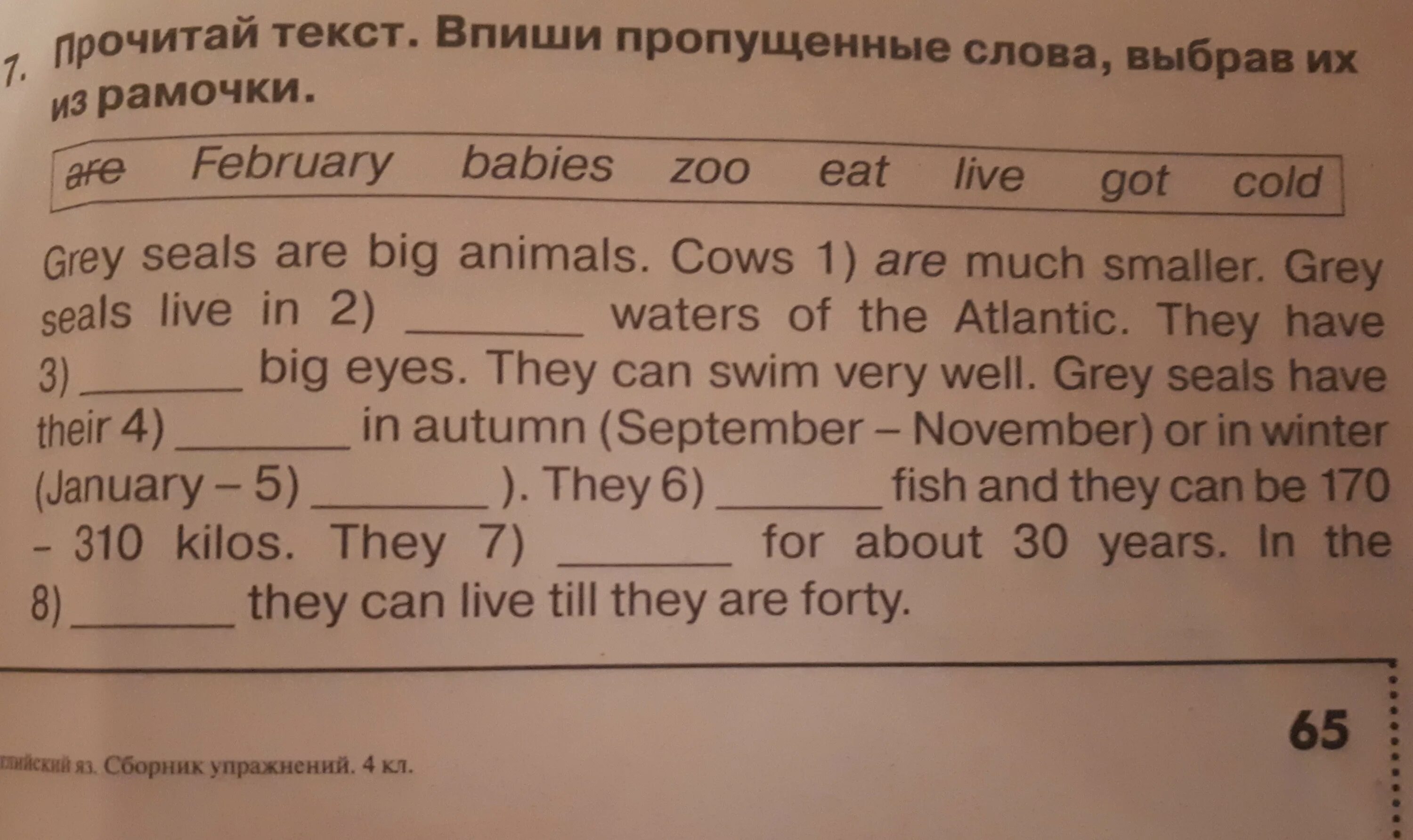 Прочитайте текст вставьте недостающие слова. Вставить пропущенное слово на английском. вставить пропущенные слова в английском тексте. вставить слова в предложения по английскому. вставь пропущенное слово в предложение.