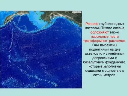 Сколько составляет тихий океан