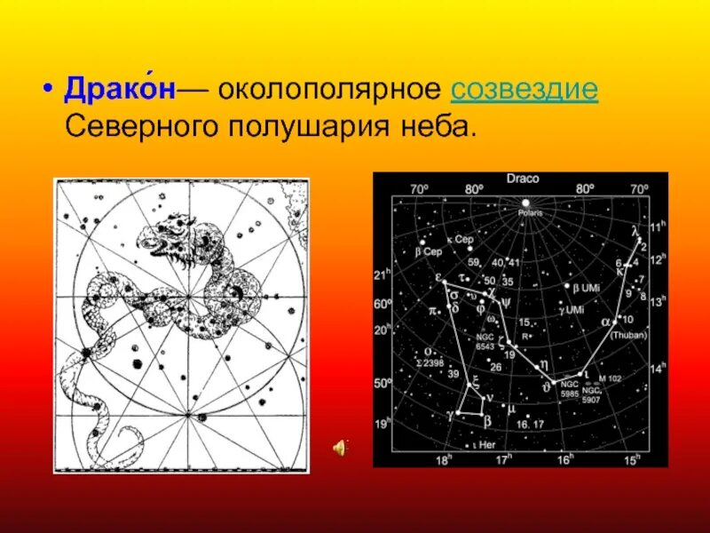 В северном полушарии можно увидеть. Созвездия Северного полушария. Околополярные созвездия. Созвездия по полушариям. Созвездия на небе Северного полушария.