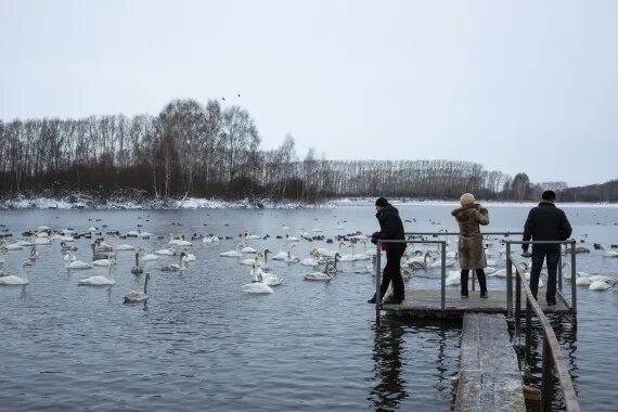 Погода в новотырышкино алтайского края на 10. Праздник «Алтайская зимовка».