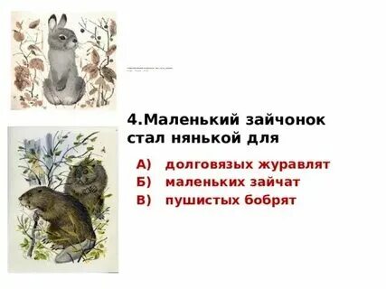 Синквейн презентация. Синквейн малька. Синквейн о мальке 3 класс литературное чтение. Синквейн на тему малька 3 класс. Синквейн метаболизм.