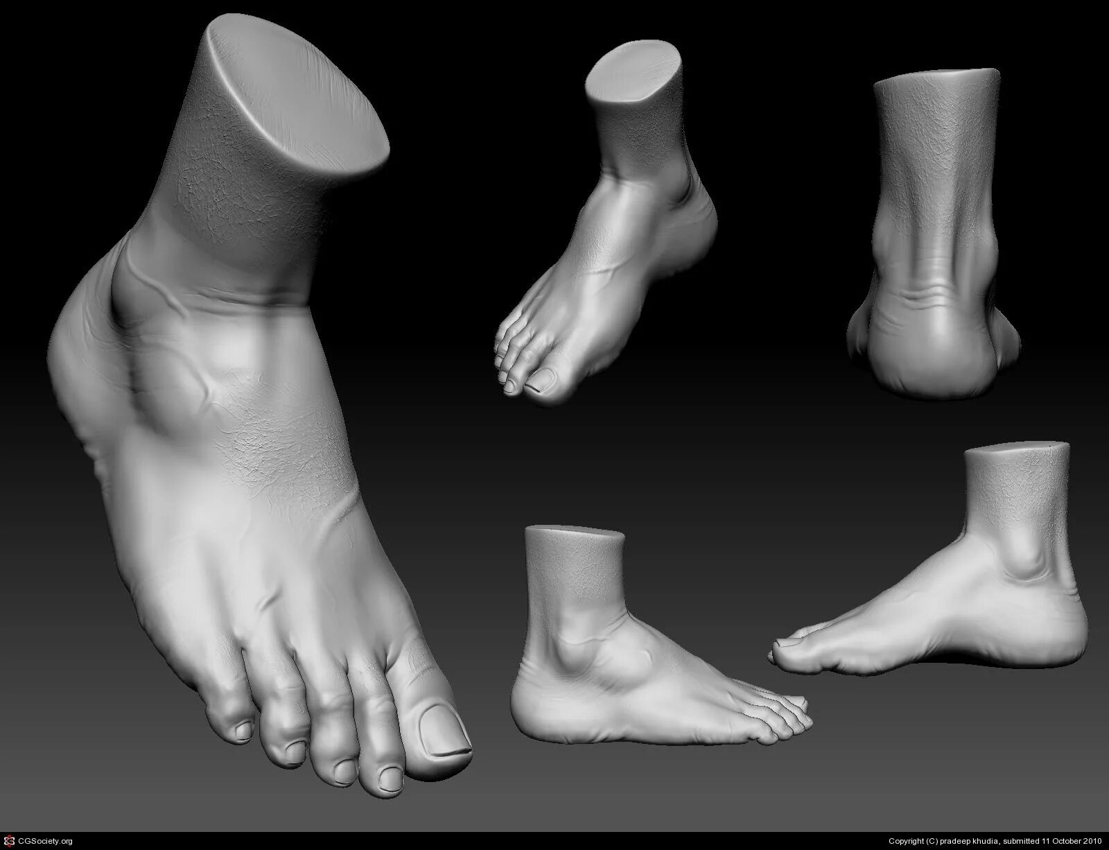 Legs 3d model