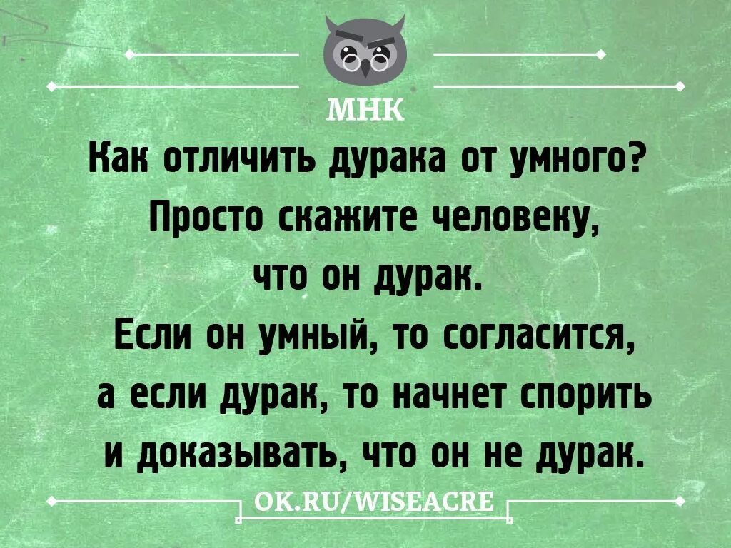 Глупый довести. Афоризмы про дураков и идиотов. Поговорки про дураков. Мудрые высказывания про дураков. Высказывания о дураках.