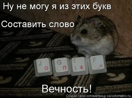 Слова из слова вечность