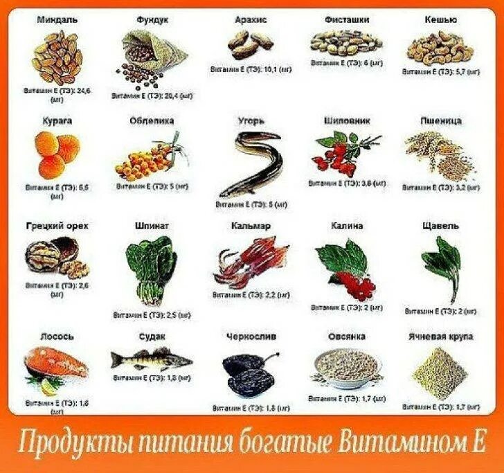 В каких продуктах содержится витамин е в большом количестве таблица. Витамин е в каких продуктах содержится таблица. В каких продуктах содержится витамин е список продуктов. Продукты богатые витамином е таблица. Продукты питания богатые витаминами