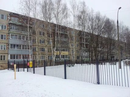 Черепаново 4