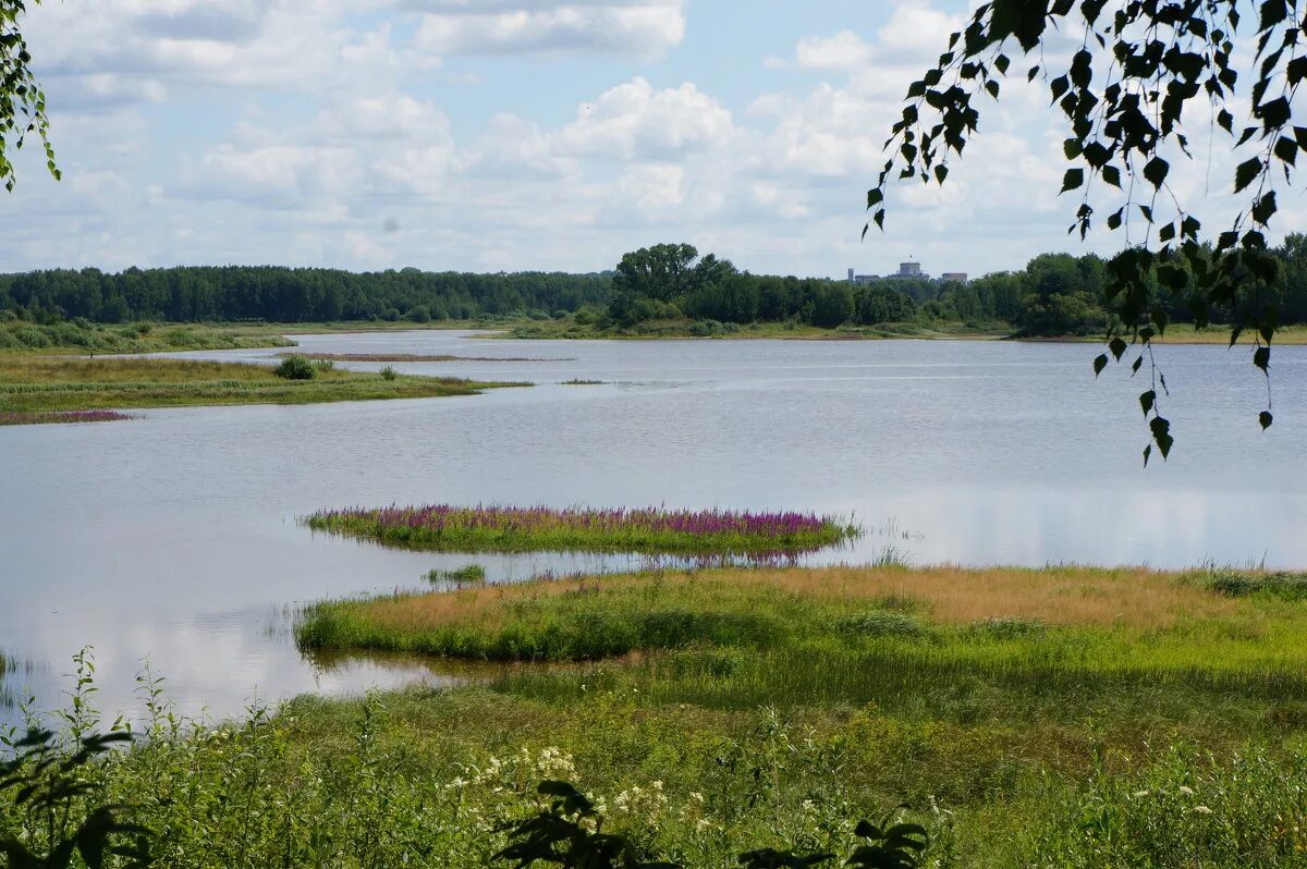 Савино вода. Савино Свердловская область озеро. Озеро Савино Самара. Озеро Каменное Тверская область. Пруд в Савино.