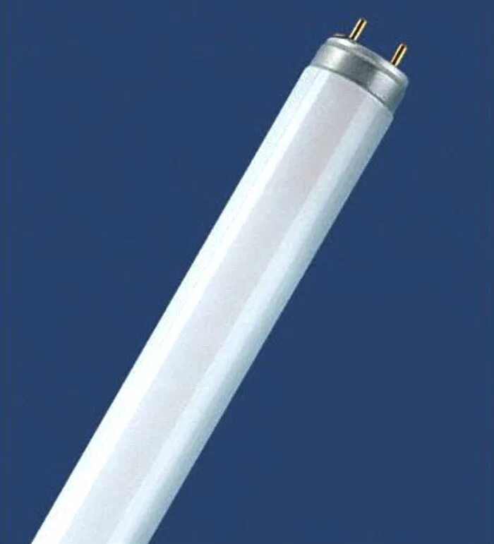 Лампа люминесцентная двухцокольная, 16w t4 g5 6400k, est13 feron. Лампа люминесцентная лд-18 g13 18w. Лампы типа лд. Лампы типа лд. Лампы типа лд.