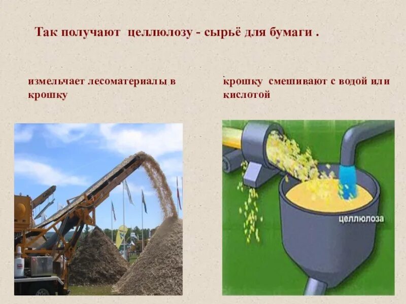 Сырье для получения целлюлозы