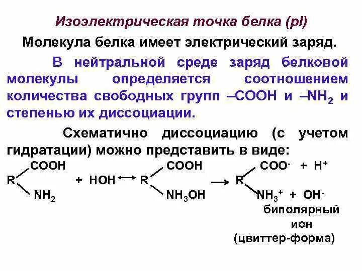 Белковая точка. Изоэлектрическая точка. Елка. Изоэлектрическая точка белка. Заряд белка. Изоэлектрическая точка белка. В изоэлектрической точке молекулы белков.