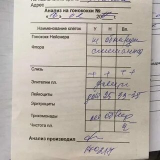 Исследования мазка на гонококки
