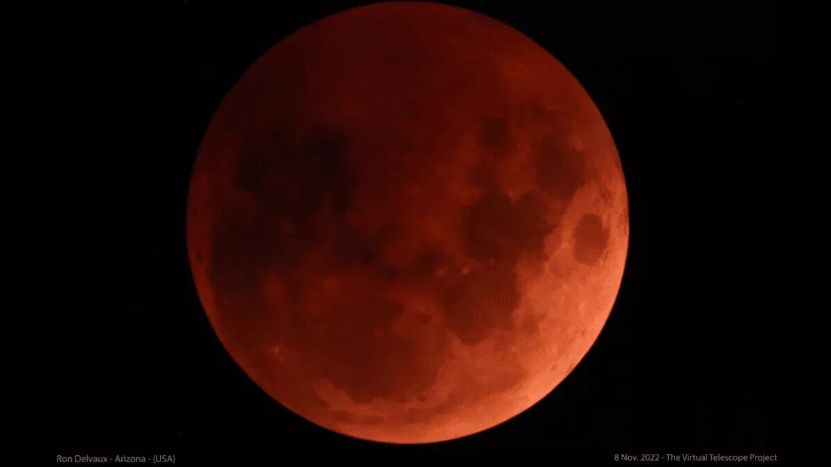 Lessons From MOON's Collapse Seeking Alpha