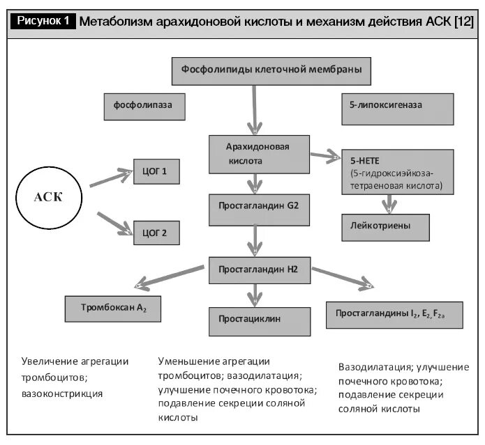 Механизм действия аспирина. Механизм действия аспирина схема. Механизм ацетилсалициловой кислотыантиагрегант. Механизм антиагрегантного действия ацетилсалициловой кислоты. Аспирин механизм действия.