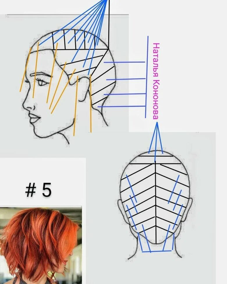 Стрижки с градуировкой на средние волосы схема. Градуированная короткая стрижка схема. Градуированный Каскад схема стрижки. Техника стрижки средних волос