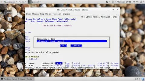 Поиск файла в linux