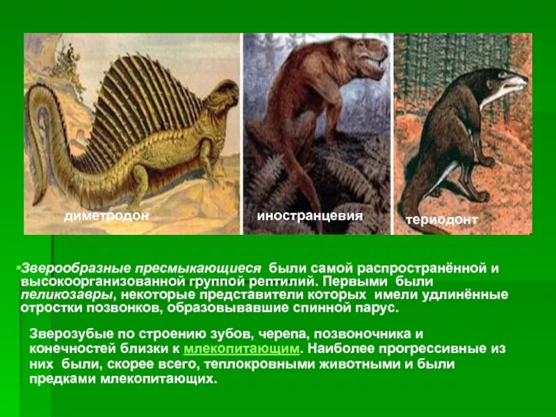 Динозавры картинки с названиями. Стадо динозавров. Динозавры несколько. Карликовые динозавры. Эораптор.