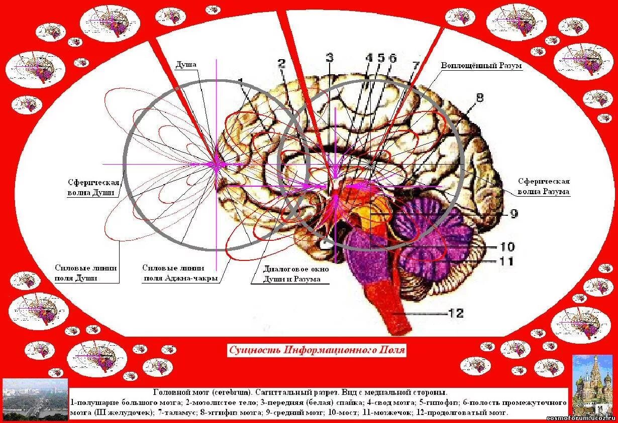 Коллективное сознание человечества. Левашов. Сущность и разум 3. Рассудок и разум. Сущность и разум 3.