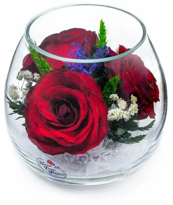 Natural Flower products цветы в стекле. Цветы в колбе живые. Цветы в стекле ~ вакуум. Композиция из цветов в колбе. Сколько стоят живые розы