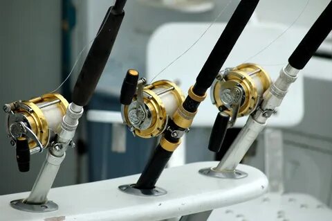 Fishing rod
