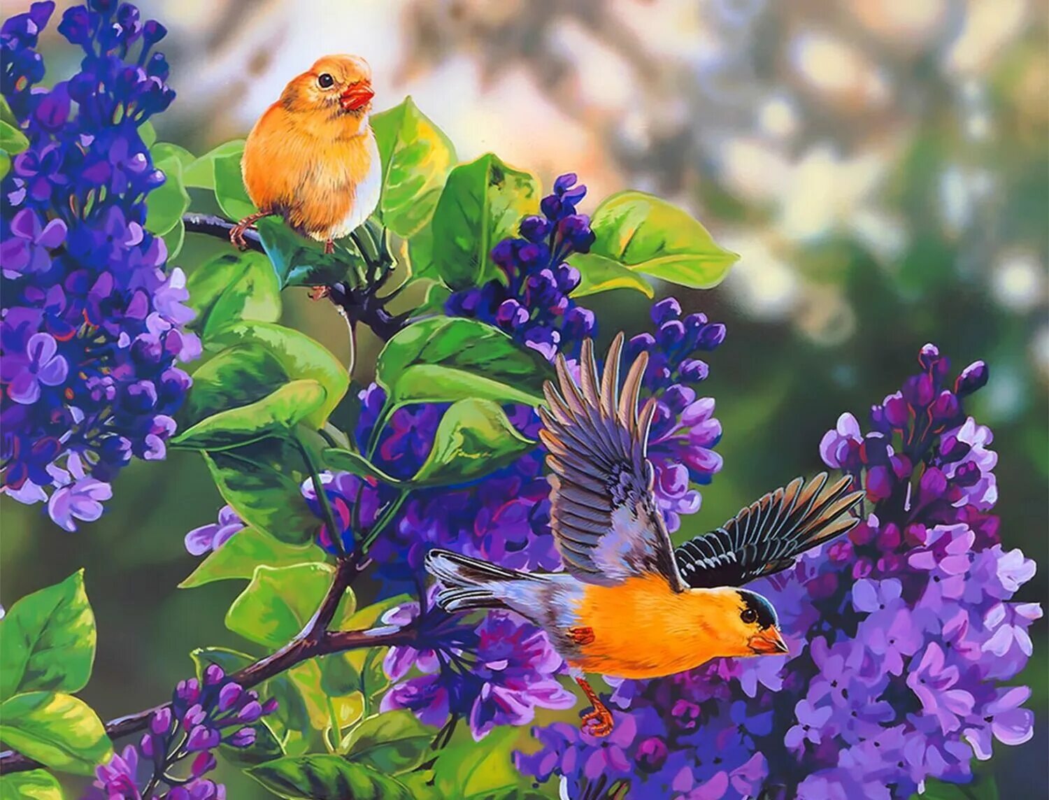 Птица романс. Птицы живопись. Картина птицы. Птицы в цветах. Весенние птицы живопись.