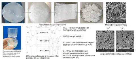 Целлюлоза бактерий