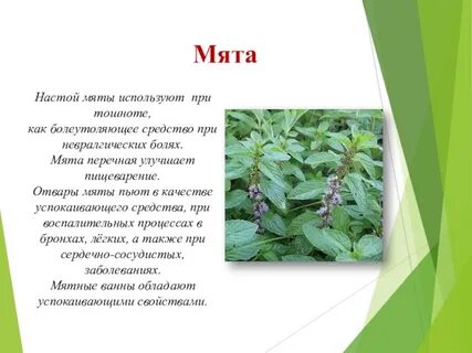 Сминать траву как пишется