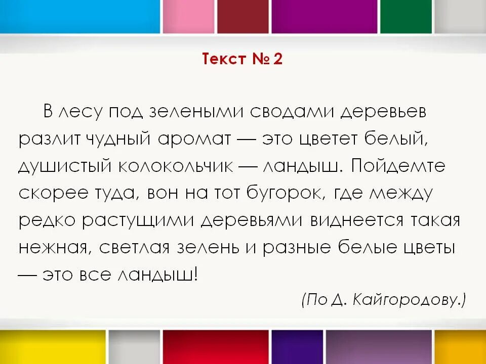 В лесу под зелеными сводами деревьев разлит