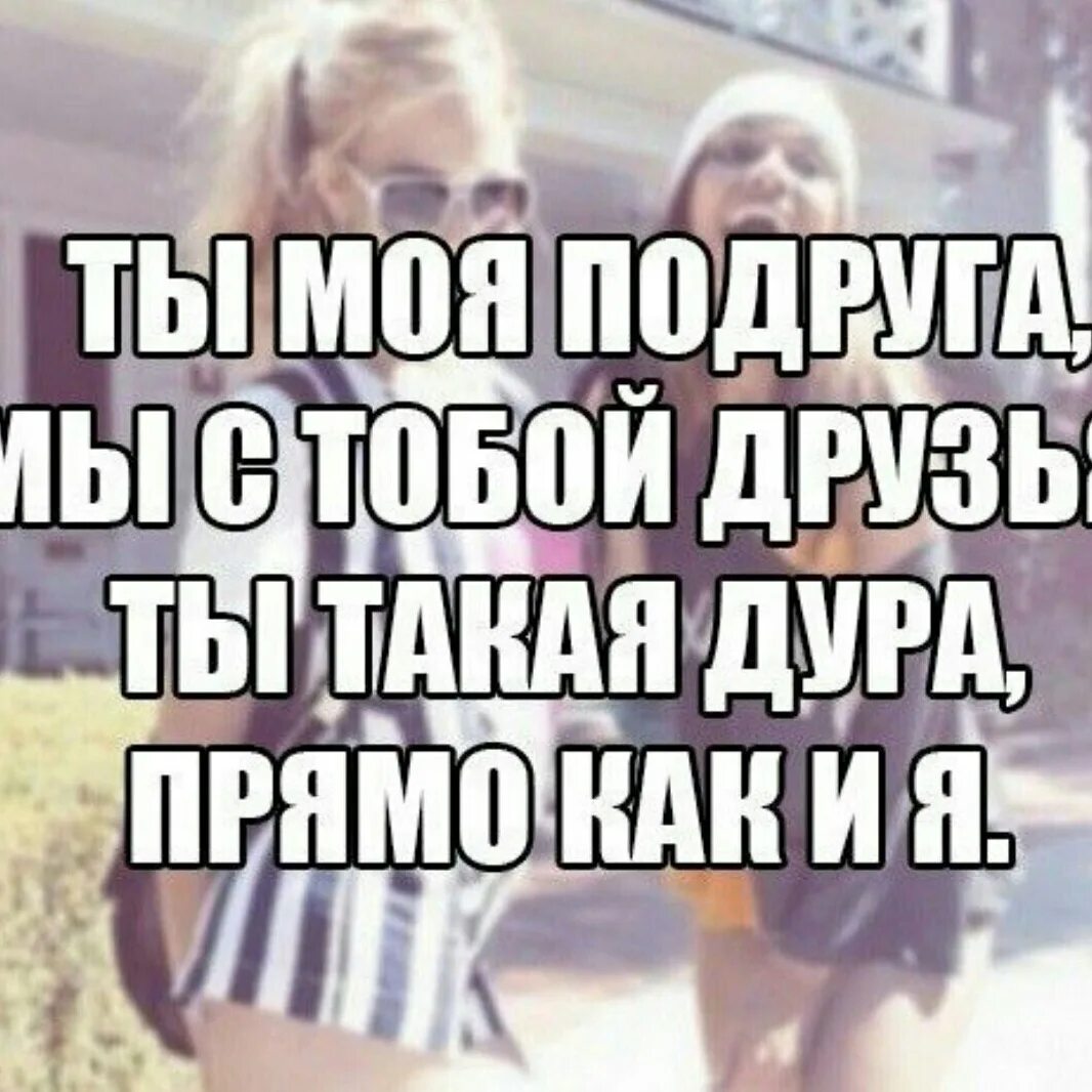 Ты берешь кроссовки твои подруги. Смешные высказывания про подружек. Смешные фразы про подруг. Высказывания про подокг. Высказывания про лучшую подругу.