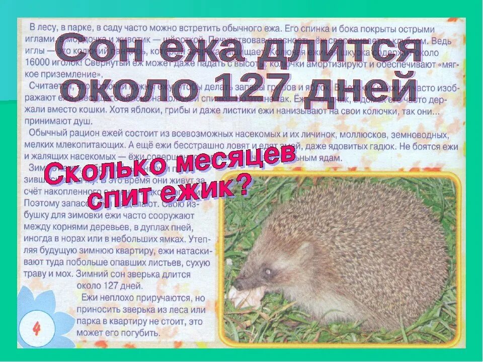 Славянский календарь еж