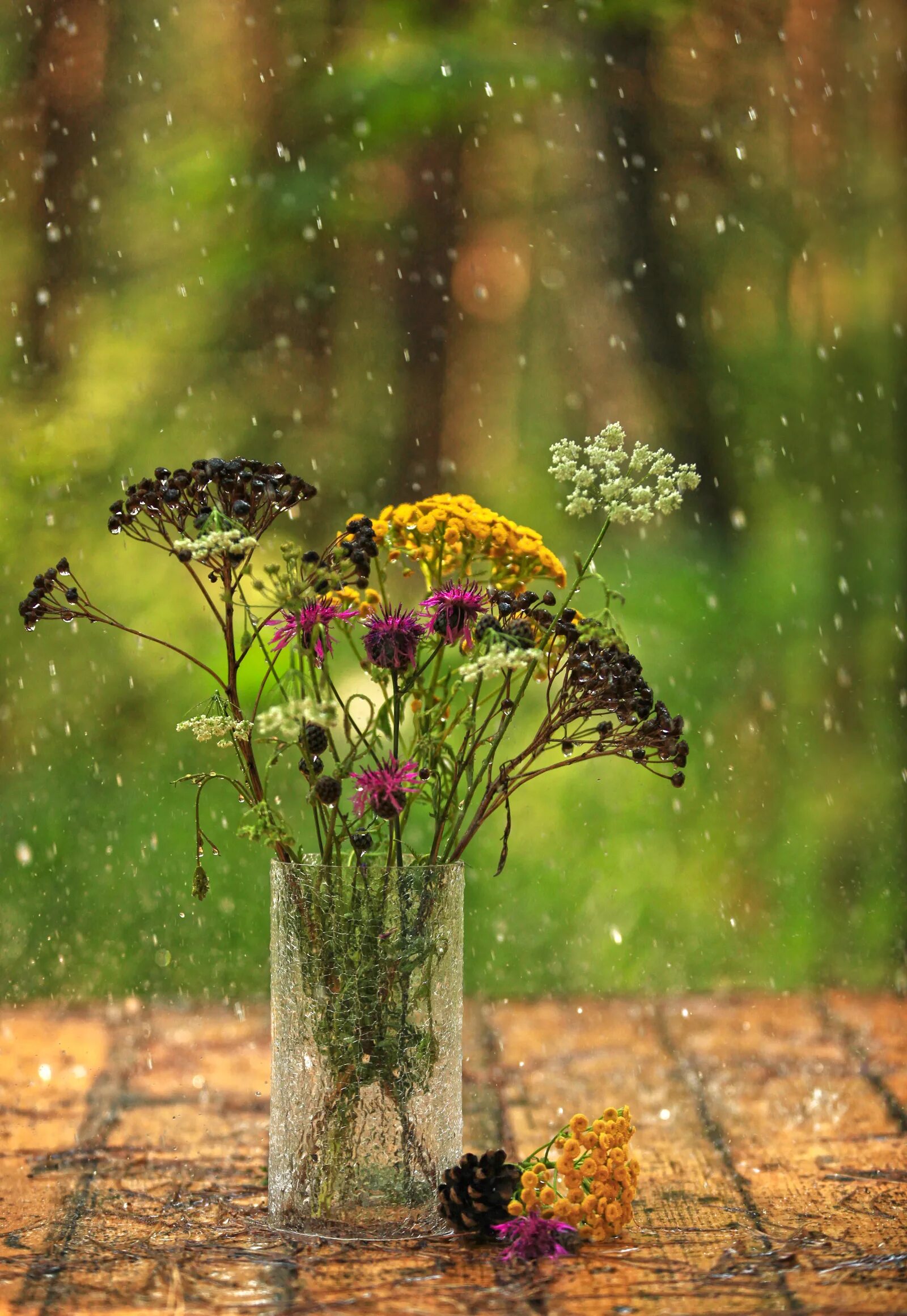 Хмурое летнее утро. Луг утром. Природа. Пасмурное летнее утро. Природа дождь.